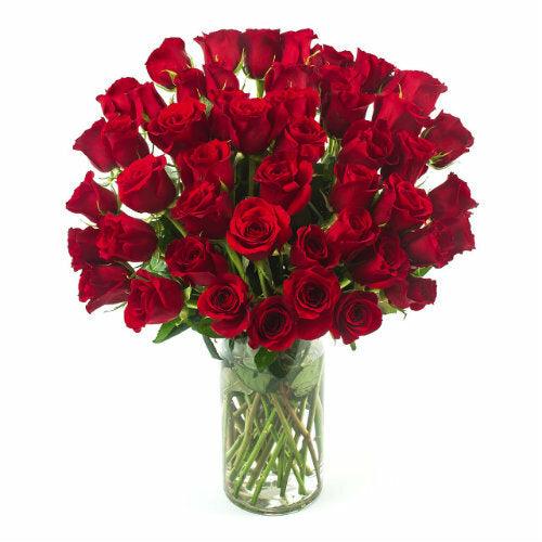 Red Long Stem Roses 50 - 48LongStems.com