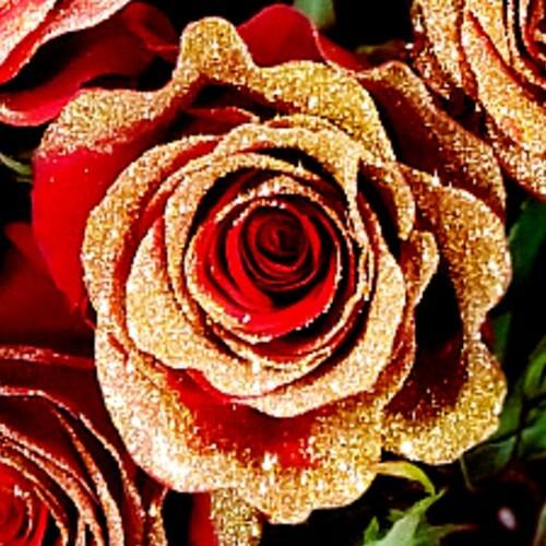 Red Roses with Gold Gliiter, Wholesale Glitter Roses