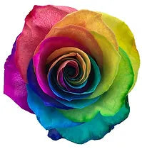 Tie Dyed Rainbow Roses Wholesale