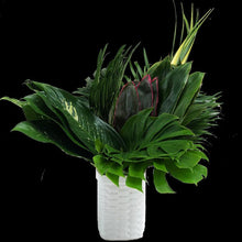 Load image into Gallery viewer, Amazon Assorted Tropical Greenery - Wholesale - 48LongStems.com
