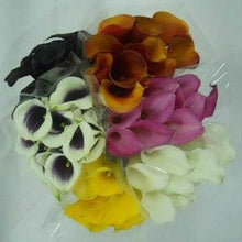 Load image into Gallery viewer, Assorted Mini Calla Lilies - Wholesale - 48LongStems.com
