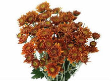 Load image into Gallery viewer, Bronze Cushion Mums (Seasonally Available) - 48LongStems.com
