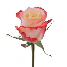 Load image into Gallery viewer, Cabaret Bi-Color Orange Roses Wholesale - 48LongStems.com
