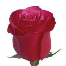 Load image into Gallery viewer, Cherry O Pink Roses Wholesale - 48LongStems.com
