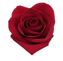 Load image into Gallery viewer, Freedom Red Roses Wholesale - 48LongStems.com
