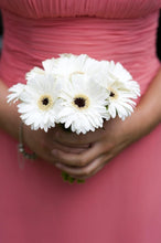 Load image into Gallery viewer, Gerber Daisy Bouquet - 48LongStems.com
