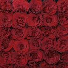 Load image into Gallery viewer, Hearts Red Garden Roses Wholesale - 48LongStems.com
