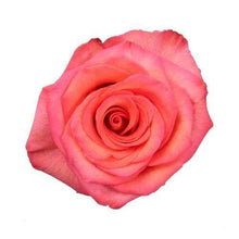 Load image into Gallery viewer, High and Orange Coral Roses - 48LongStems.com
