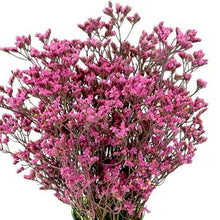 Load image into Gallery viewer, Hot Pink Tinted Limonium - 48LongStems.com
