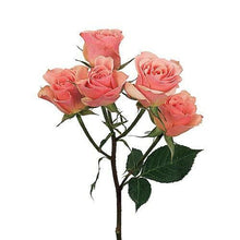 Load image into Gallery viewer, Ilse Peach-Pink Spray Rose - 40cm - 48LongStems.com
