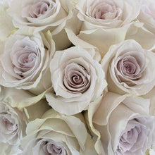 Load image into Gallery viewer, Early Grey Lavender Rose
