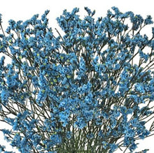 Load image into Gallery viewer, Light Blue Tinted Limonium - 48LongStems.com
