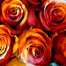 Load image into Gallery viewer, Orange, Red and White Dyed Rose Bouquet 1-Stem - 48LongStems.com
