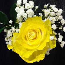 Load image into Gallery viewer, Painted Rose Bouquets (Your Color Choice) 1-Stem - 48LongStems.com

