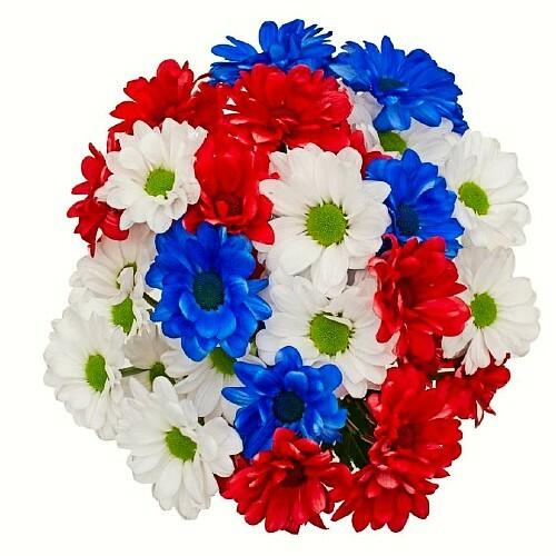 Patriotic Red, White, and Blue Daisies - 48LongStems.com