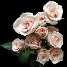Load image into Gallery viewer, Pink Majolica Light Pink Spray Roses - 40cm - 48LongStems.com
