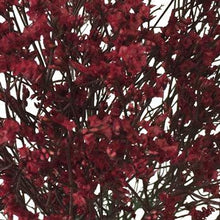 Load image into Gallery viewer, Red Tinted Limonium - 48LongStems.com
