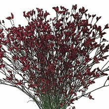 Load image into Gallery viewer, Red Tinted Limonium - 48LongStems.com
