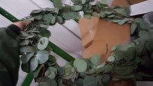 Load image into Gallery viewer, Silver Dollar Eucalyptus Garland - 48LongStems.com
