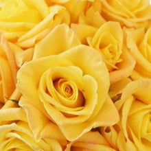 Load image into Gallery viewer, Skyline Yellow Roses Wholesale - 48LongStems.com
