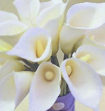Load image into Gallery viewer, Standard White Calla Lilies - Wholesale - 48LongStems.com
