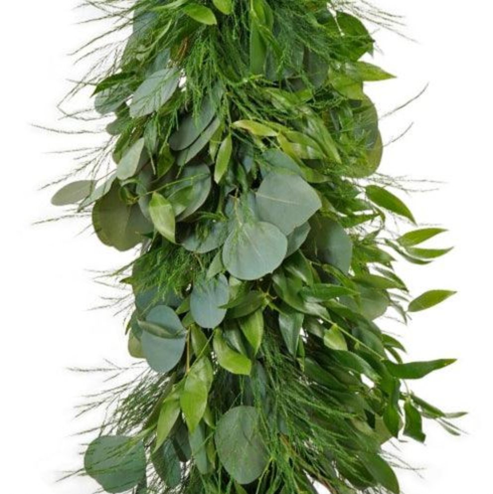 Tree Fern, Italian Ruscus and Silver Dollar Euc Mixed Greens Fresh Garland - 48LongStems.com