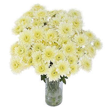 Load image into Gallery viewer, White Cushion Mum - 48LongStems.com
