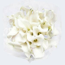 Load image into Gallery viewer, White Mini Calla Lilies - Wholesale - 48LongStems.com
