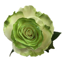 Load image into Gallery viewer, White Rose Bouquet with Lime Green Glitter 1-Stem - 48LongStems.com
