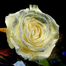 Load image into Gallery viewer, White Rose Bouquet with Silver Glitter 3-Stem - 48LongStems.com
