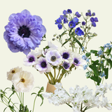 Juniper Bloom Mix Box