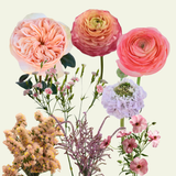 Amber Meadow Mix Box