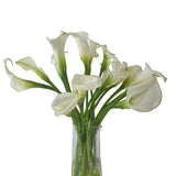A bouquet of white calla lilies with green stems in a clear glass vase, photographed against a plain light background.