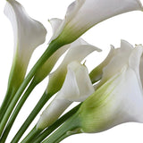 Mini Calla White Mambo
