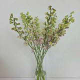 Lavender Delphinium