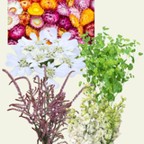 Floral Anarchy Mix