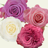 Fioritura Mix