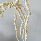 Dried Amaranthus Bleached