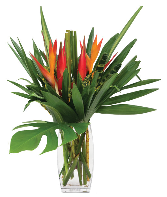 Medium Amazon Tropical Centerpieces - 48LongStems.com