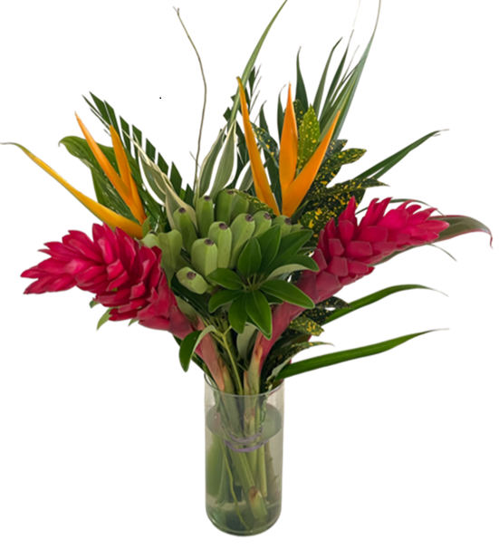 Plus Size Rainforest Centerpieces - 48LongStems.com