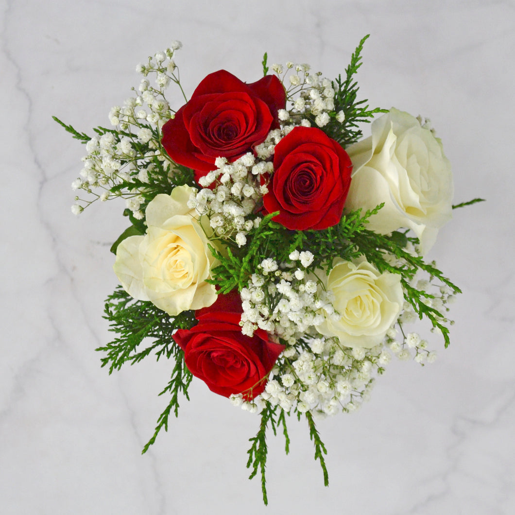 Winter 6-Stem Red and White Rose Bouquet