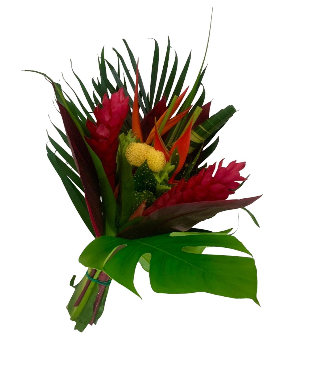 Plus Size Parrot Centerpieces - 48LongStems.com