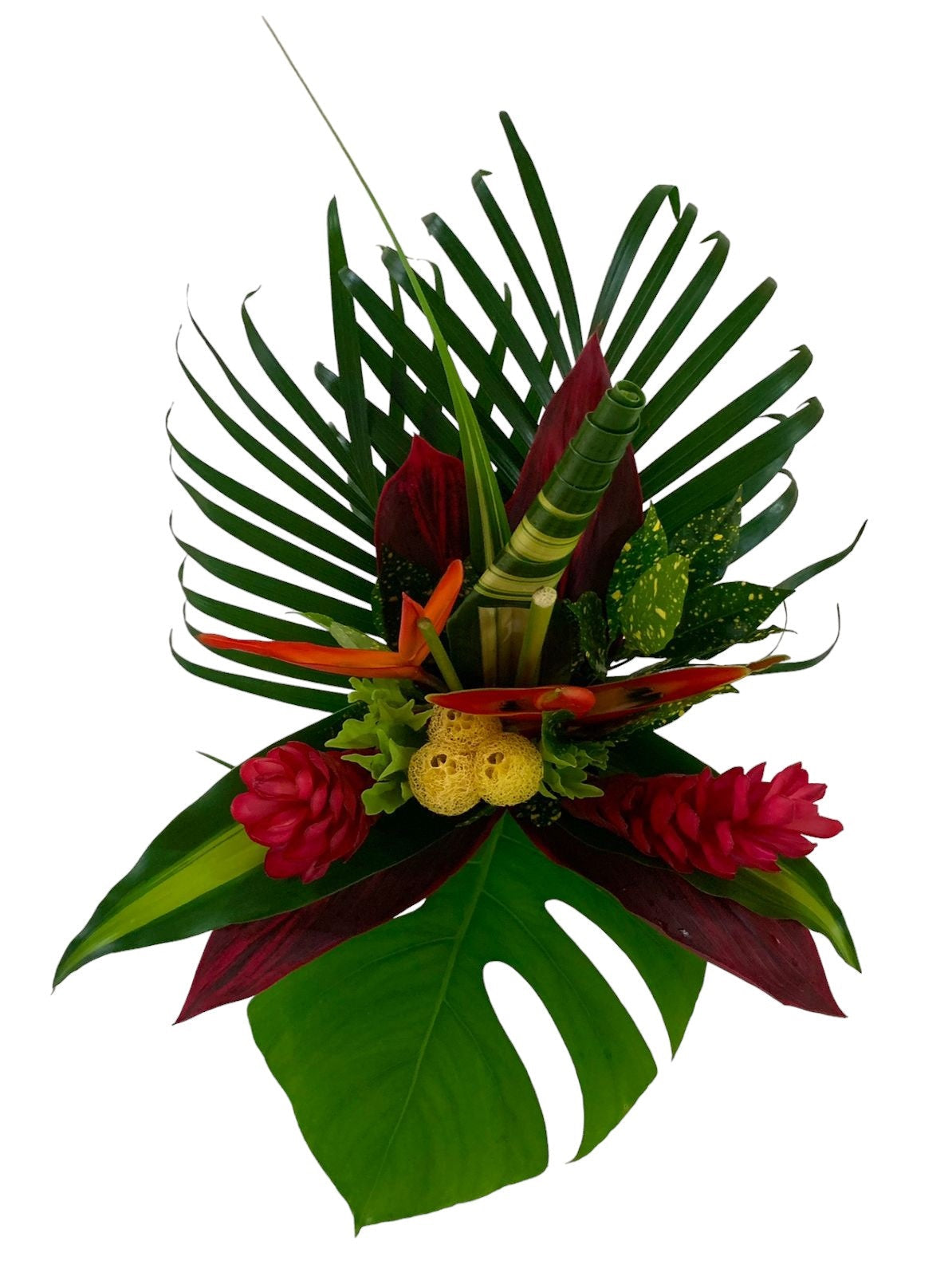 Plus Size Parrot Centerpieces - 48LongStems.com