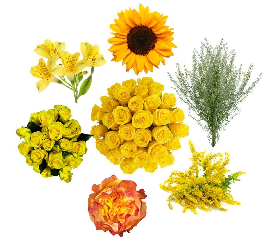 Yellow Theme Combo Box - 48LongStems.com