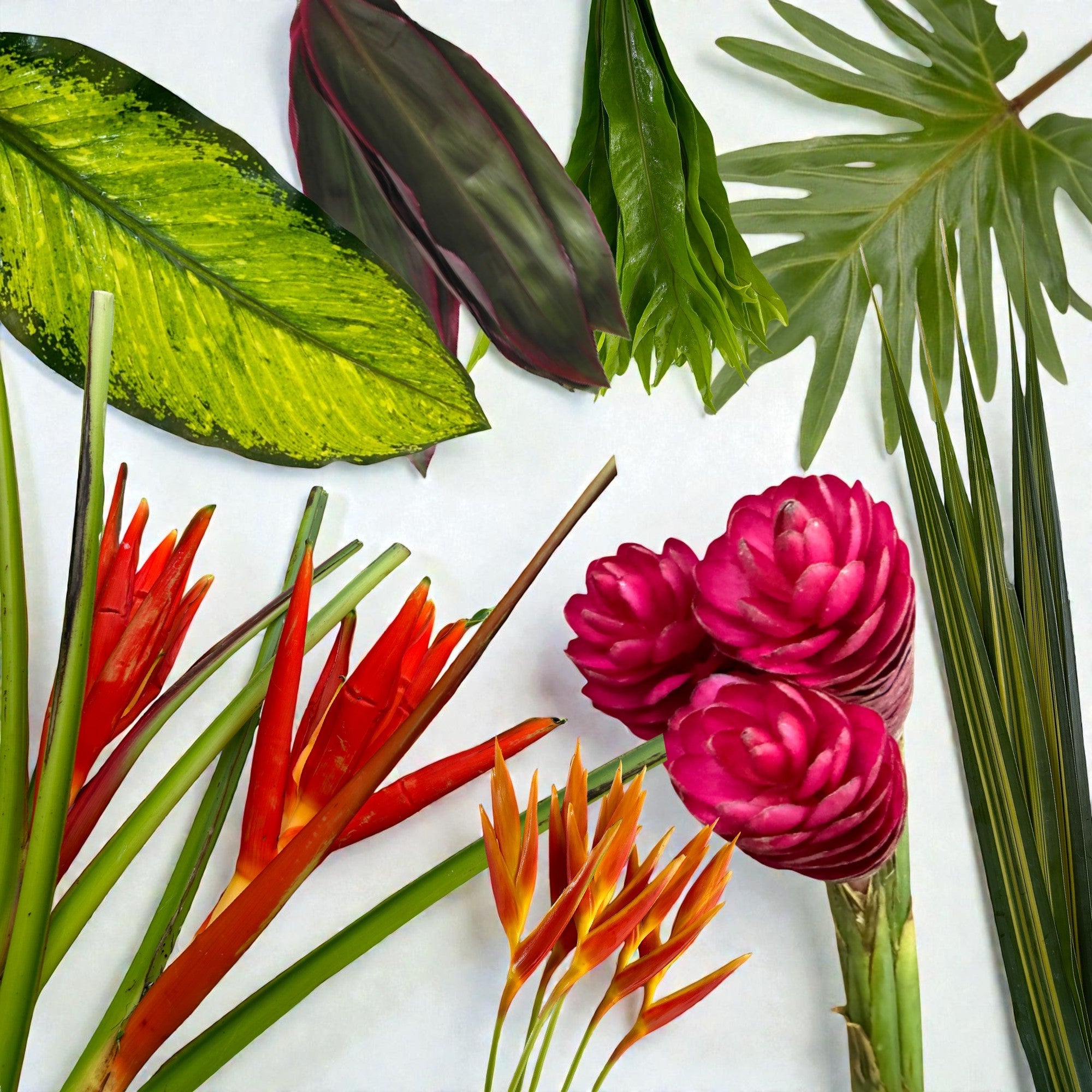 bulk monstera leaves wholesale Small Monstera Leaves