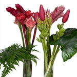 Two glass vases with red and pink tropical flowers on a white background