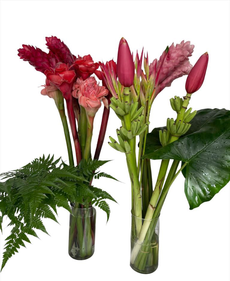 Two glass vases with red and pink tropical flowers on a white background
