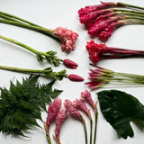 Pink and Red Paradise DIY Kit