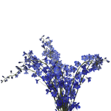 Dark Blue Delphinium