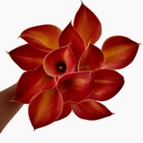 Mini Calla Lady Marmalade